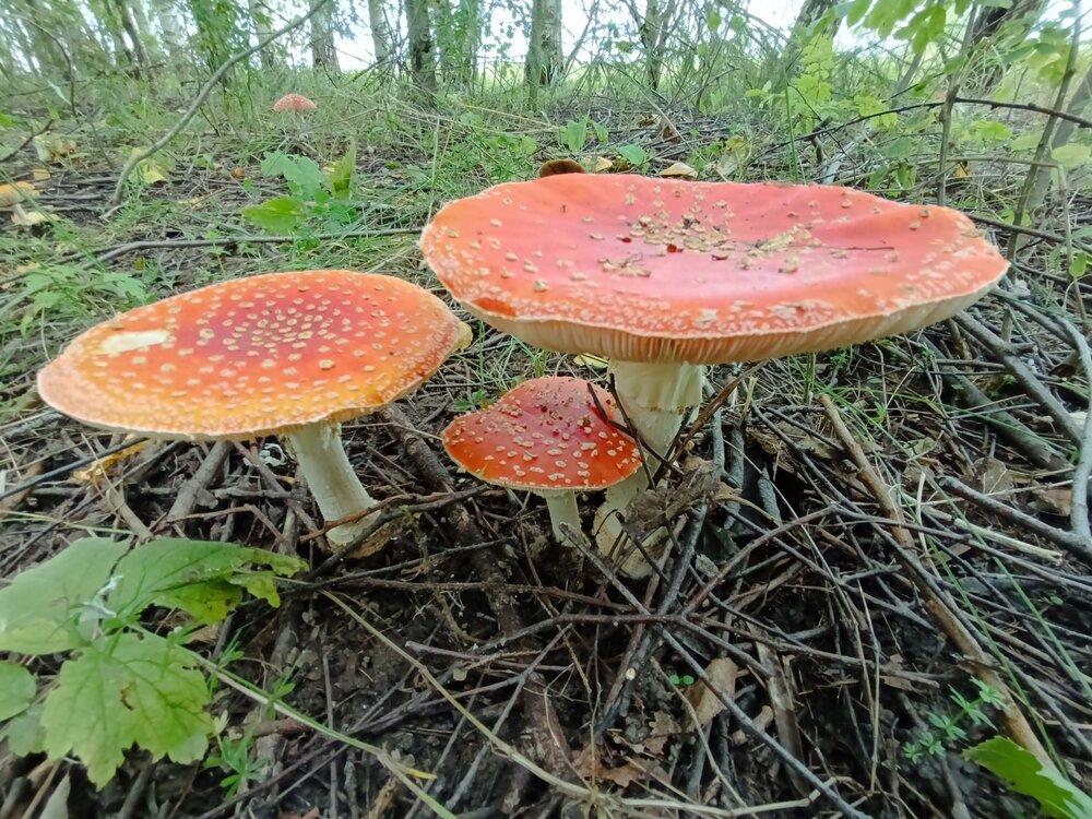 Photograph by Юрий Гордеев