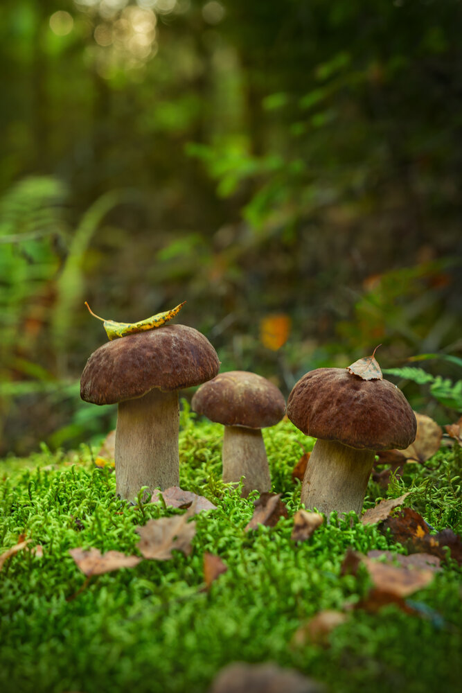 Photograph by Arina Bogachyova