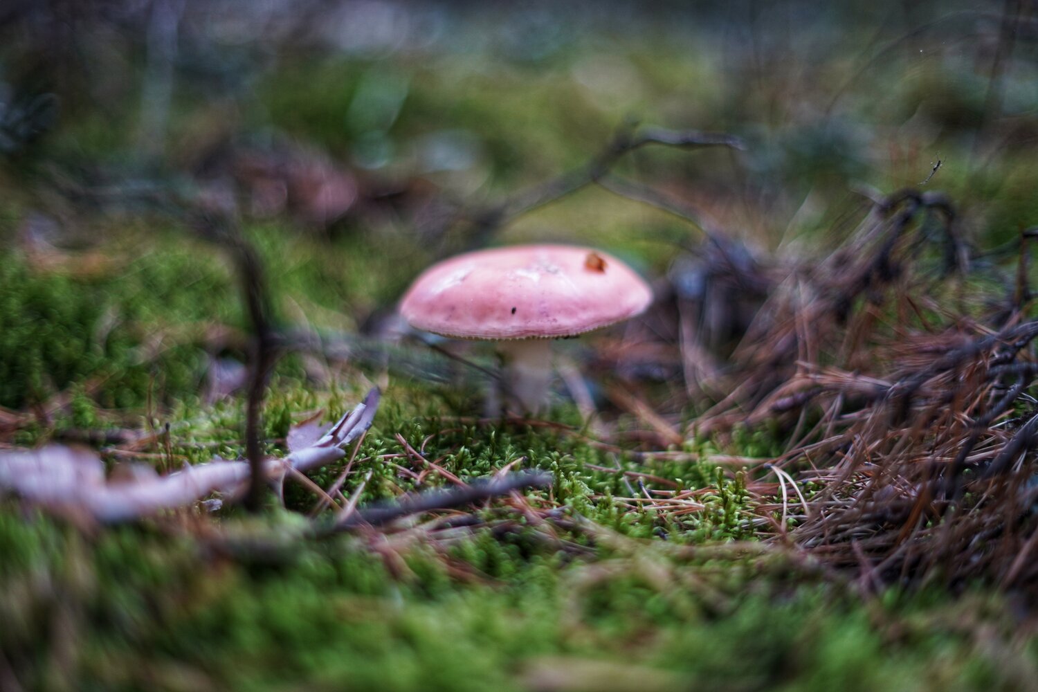 Photo #13924623