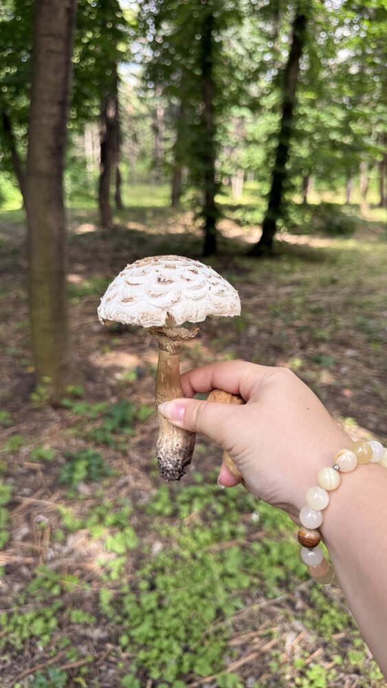 Photograph by Идель Дулатова