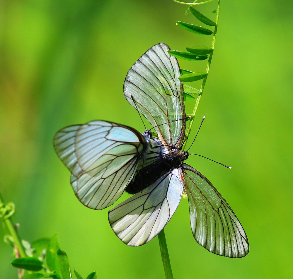 Photograph by PERESHEIN ANDREY