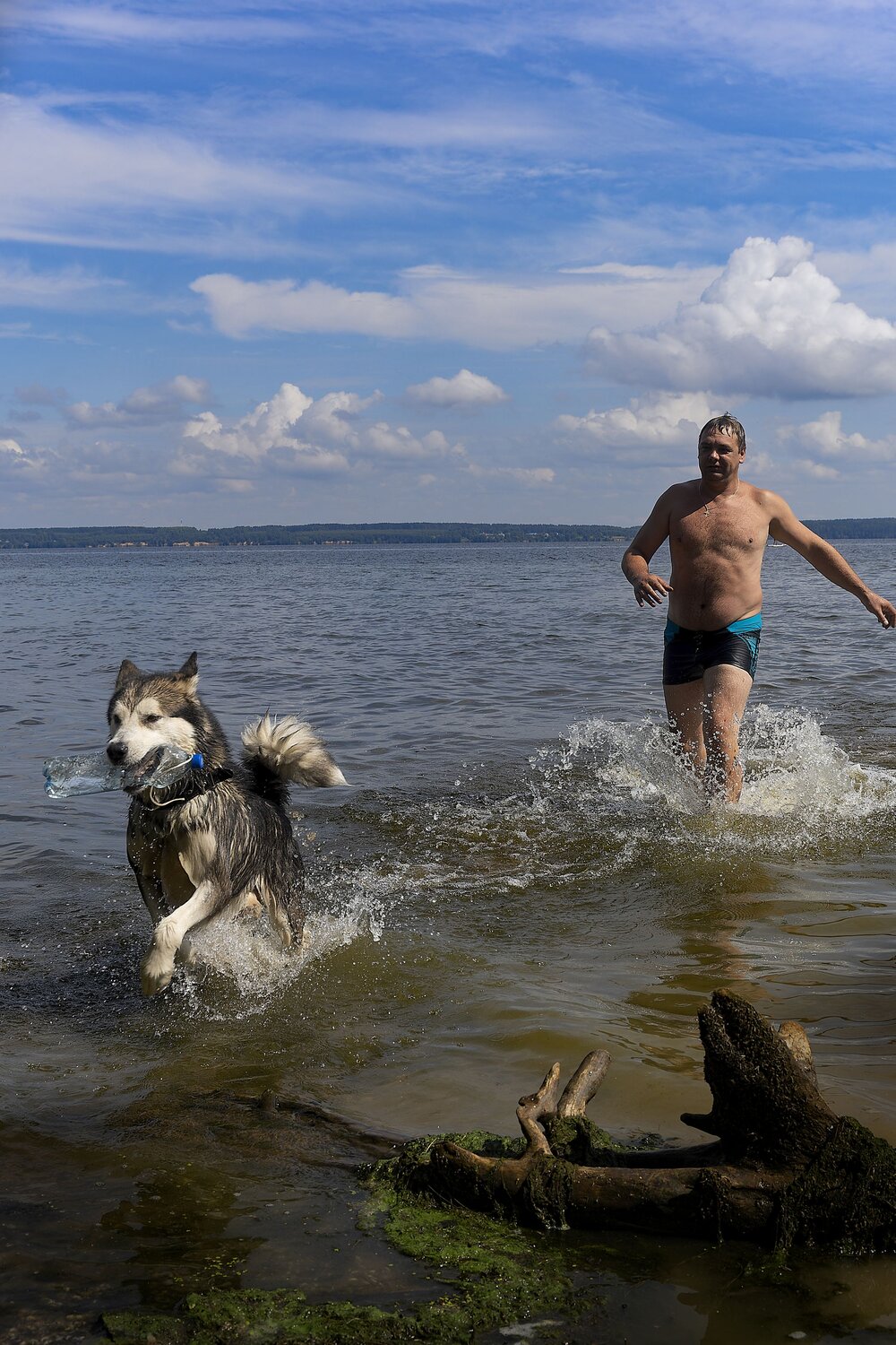 Photo #13924774
