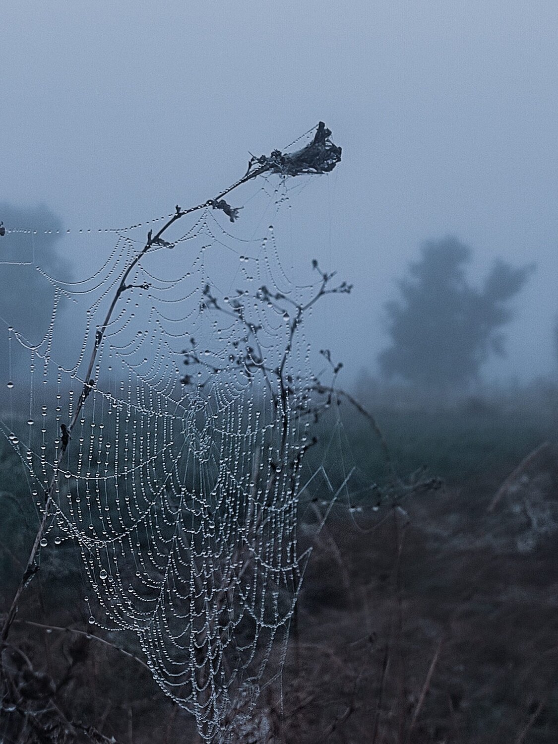 Photo #13924808