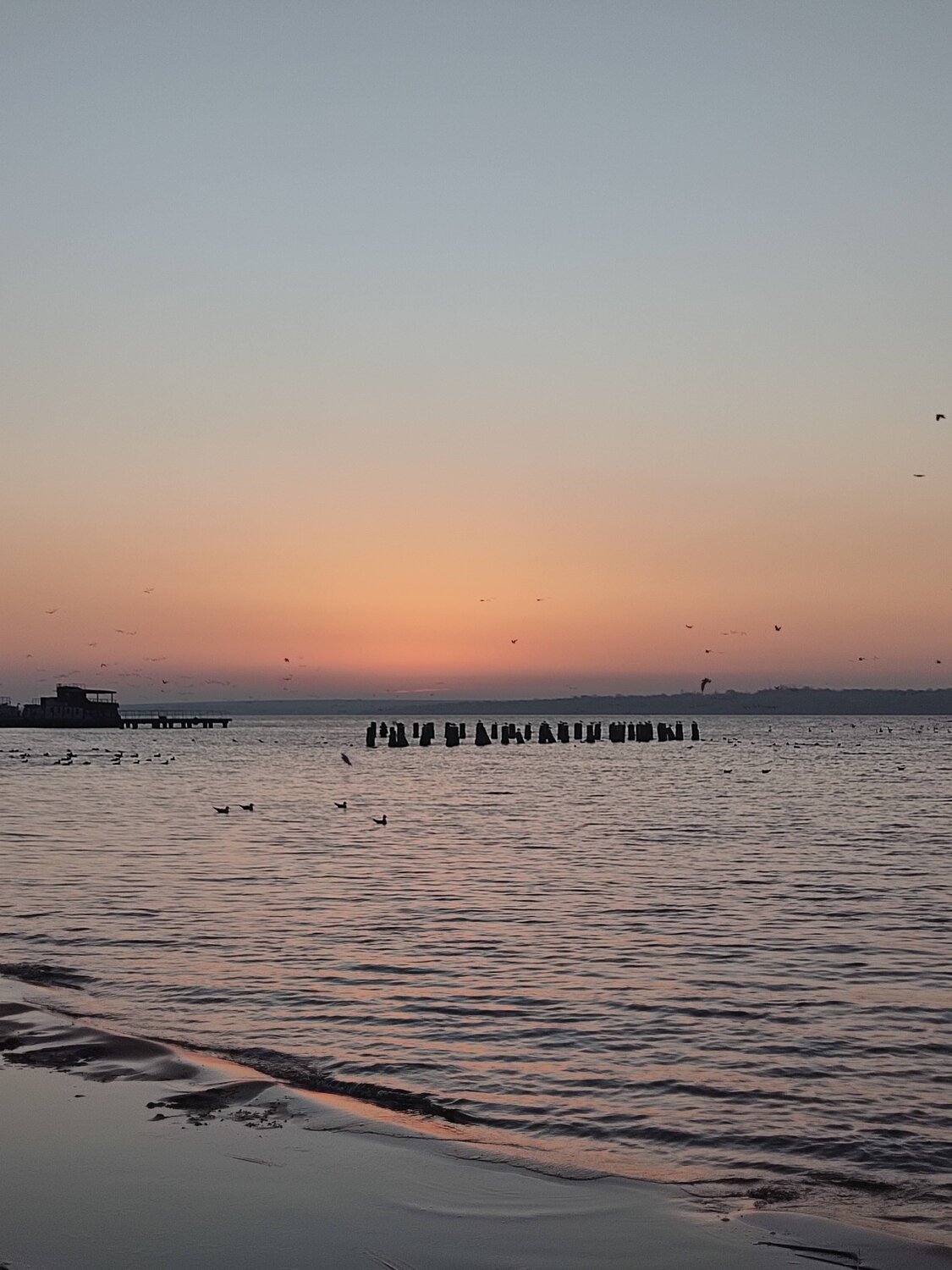 Photo #13924810