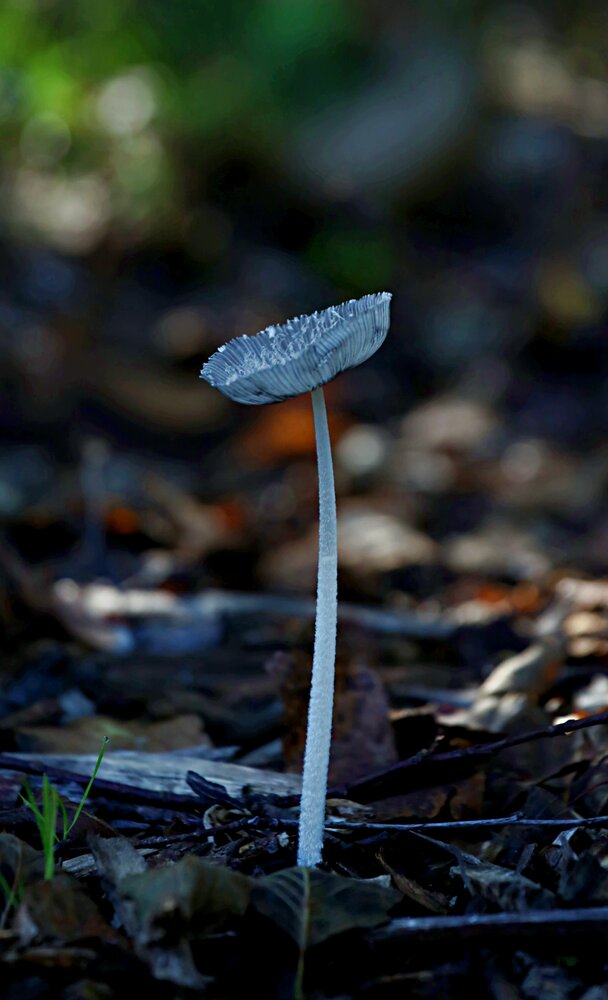 Photograph by Татьяна Слесарева