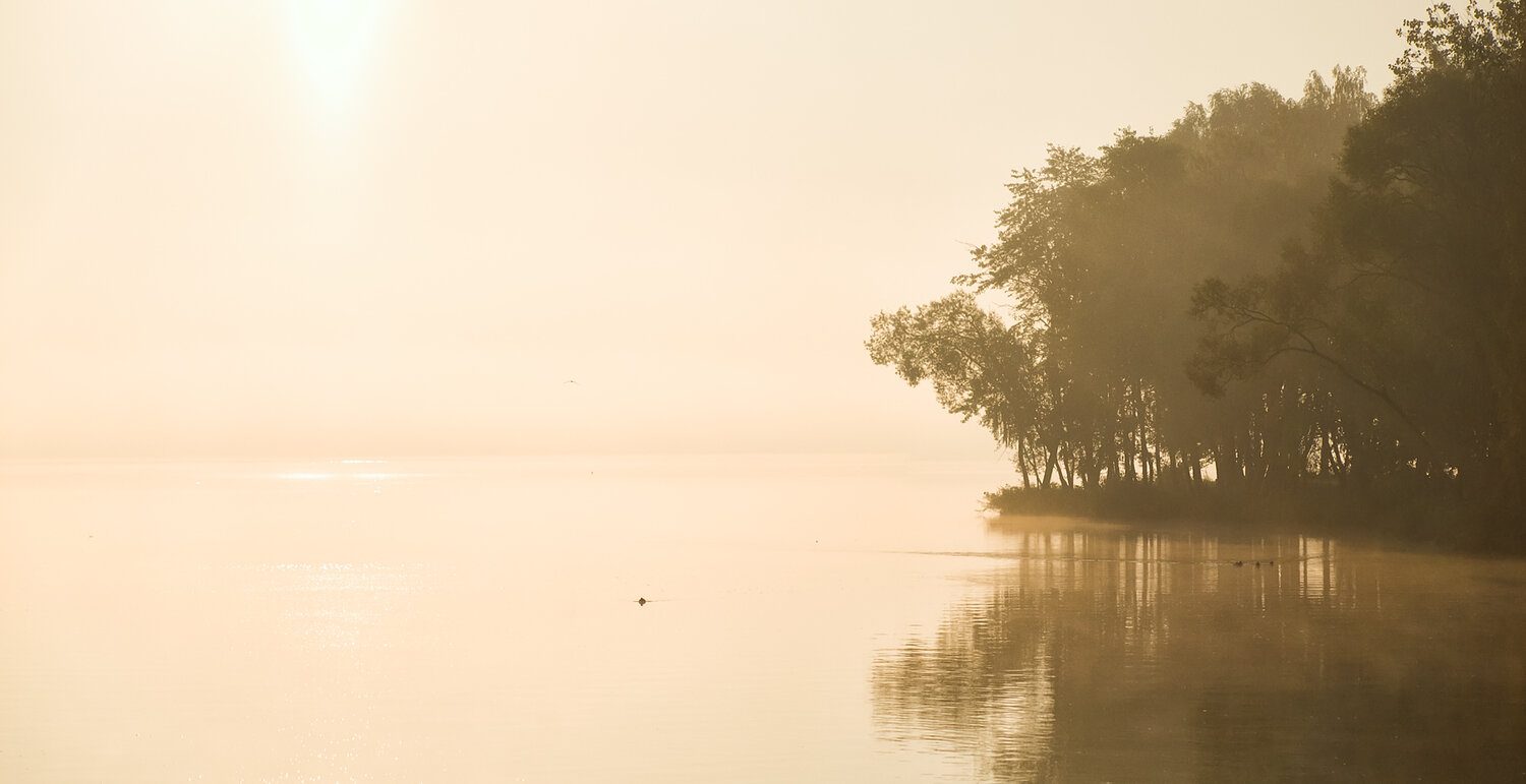 morning light