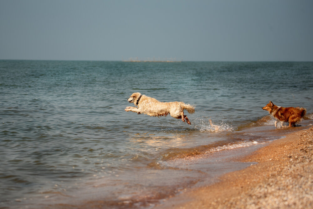 Photograph by наталья залогина