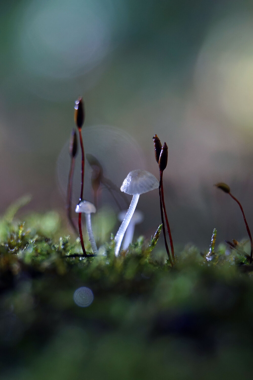 Photo #13924871