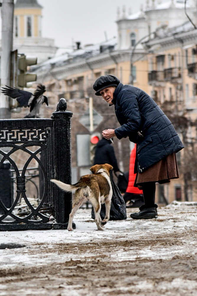 Photograph by Наталья Темная