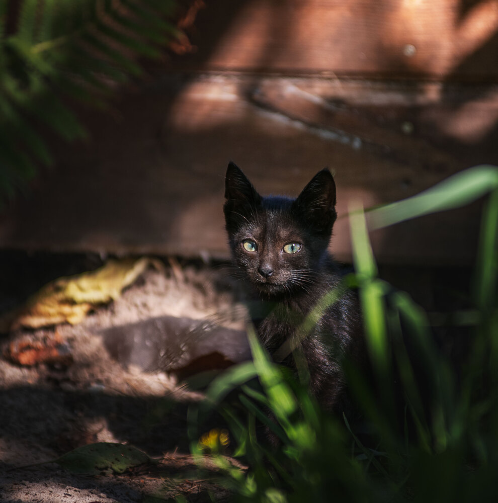 Photograph by Юлия Григорьева