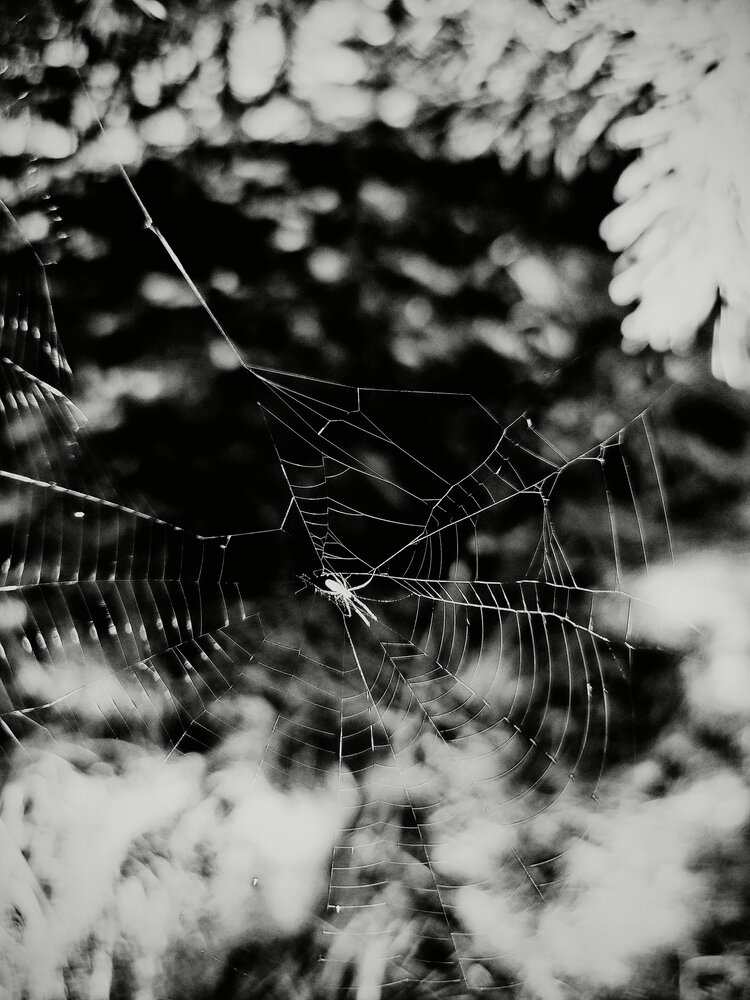 Photograph by Александр Житник