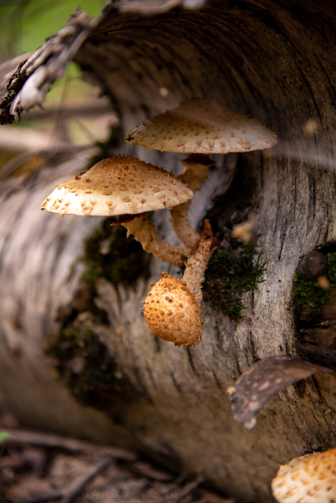 Photograph by Рыков Андрей