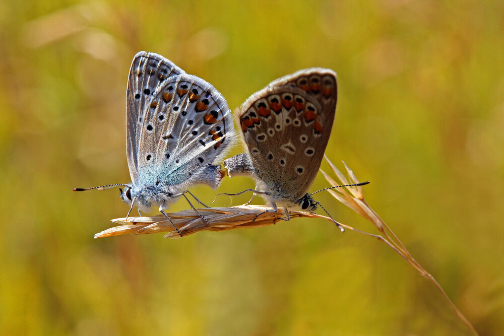 Photograph by Волынский Виктор