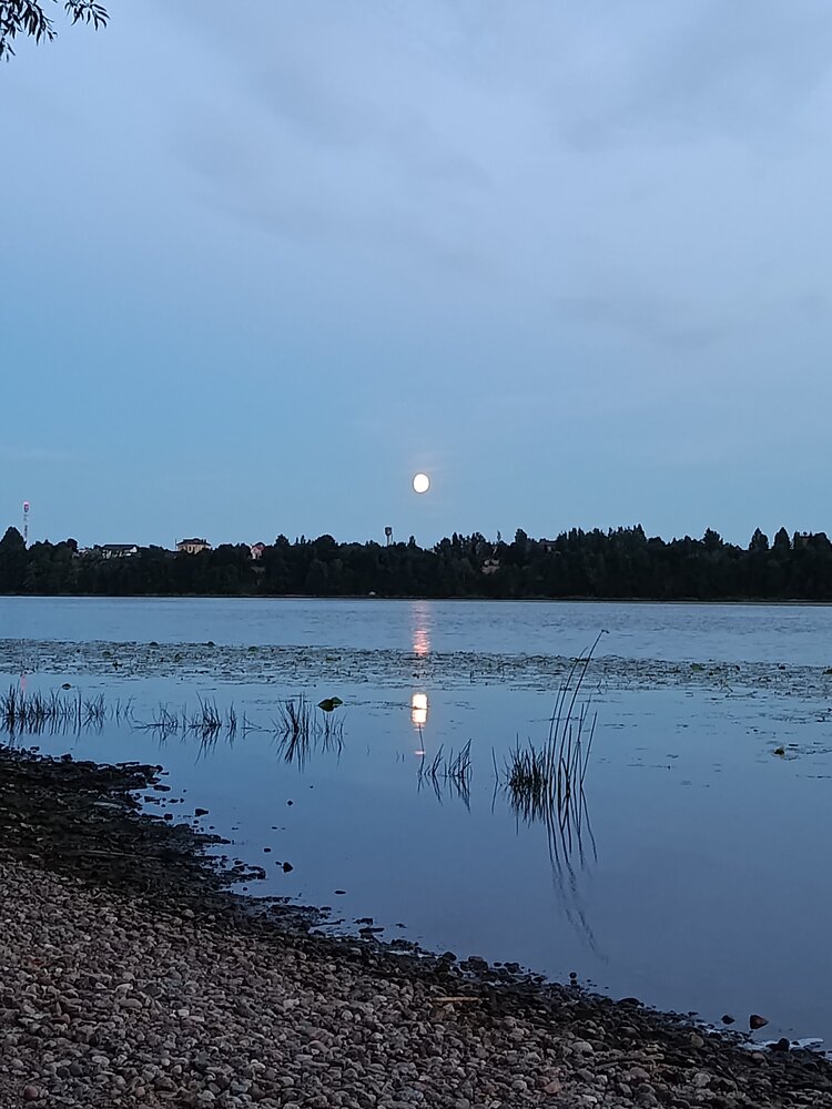 Photograph by Ольга Пашкова