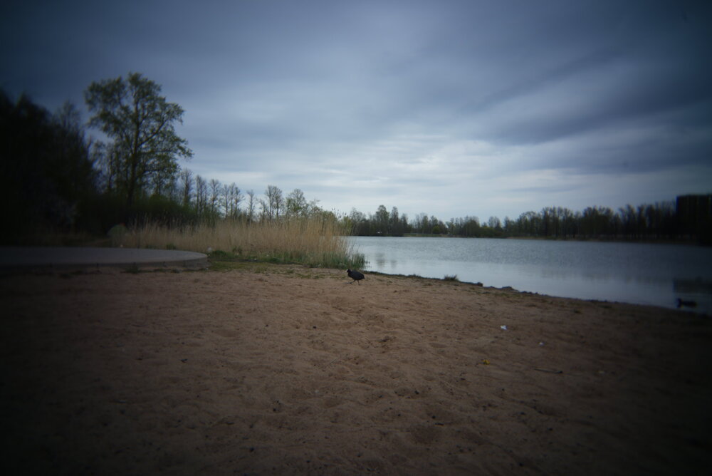 Photograph by Екатерина Катина
