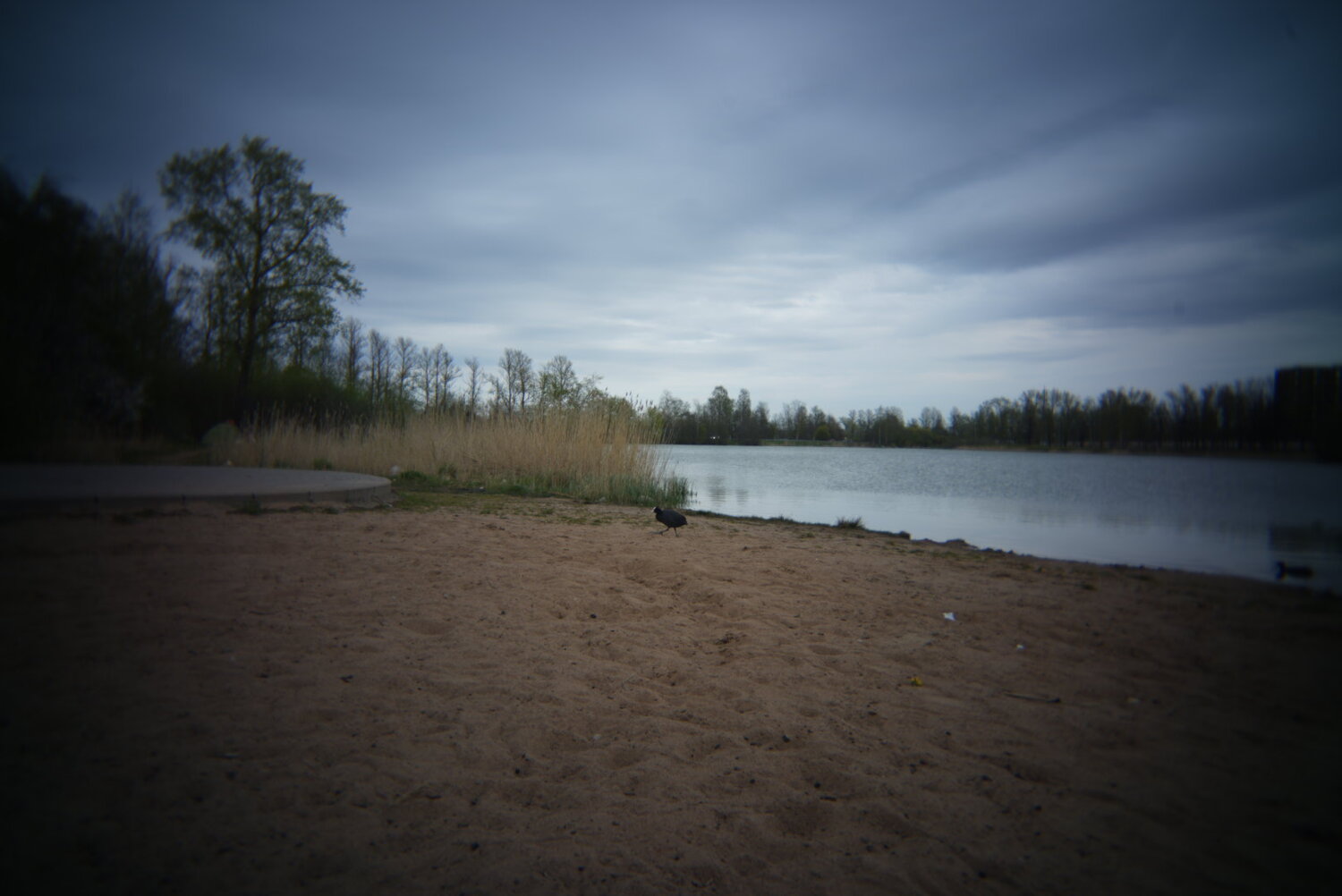 Photo #13925111