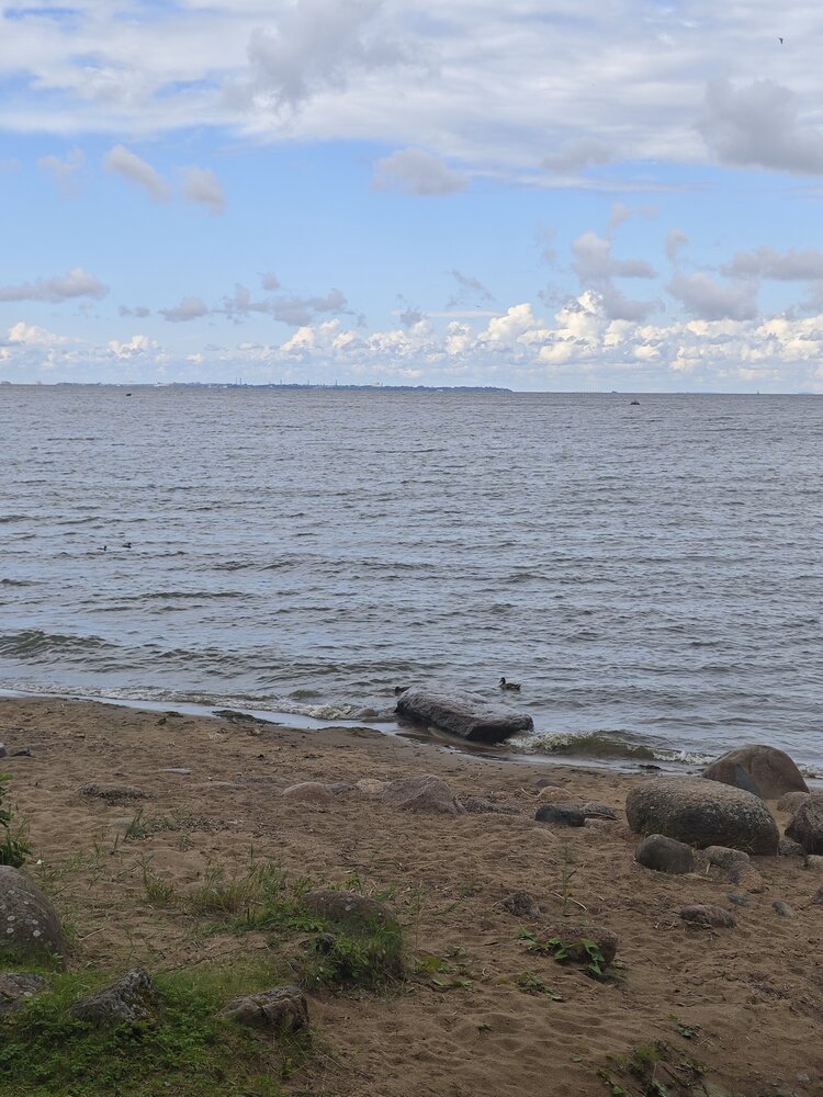 Photograph by Елена Шоколенко