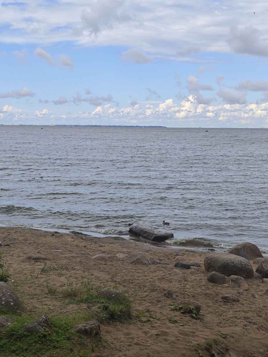 Photo #13925319
