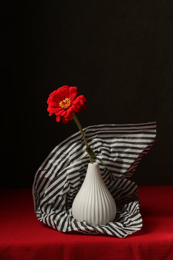 Photograph by Елена Коврижных