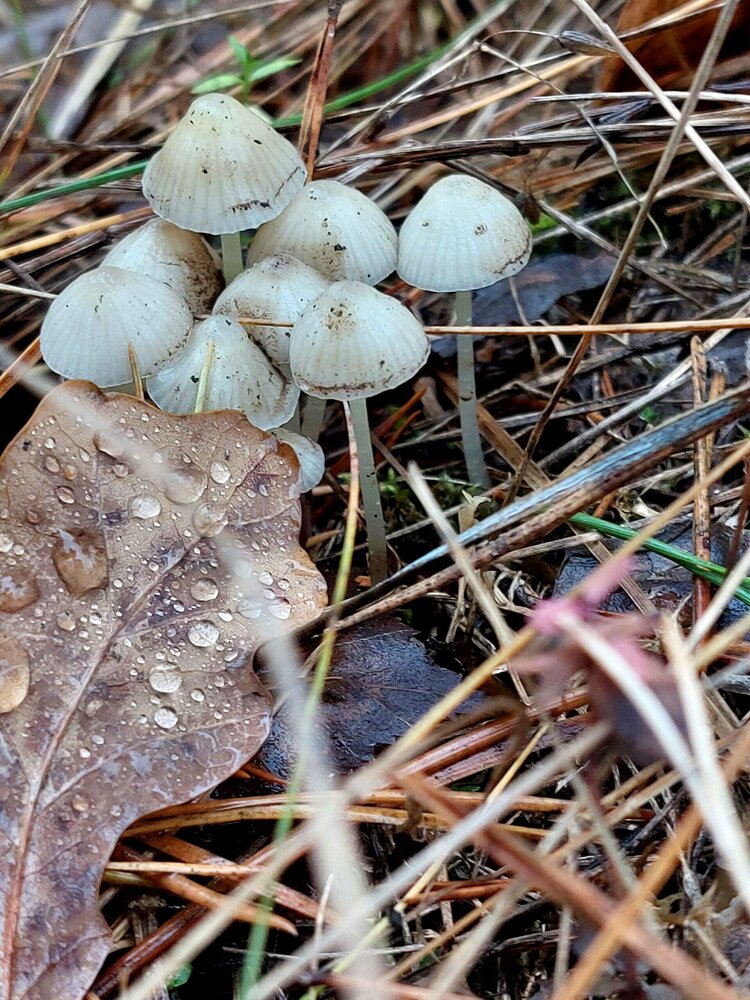Photograph by Елена Царёва