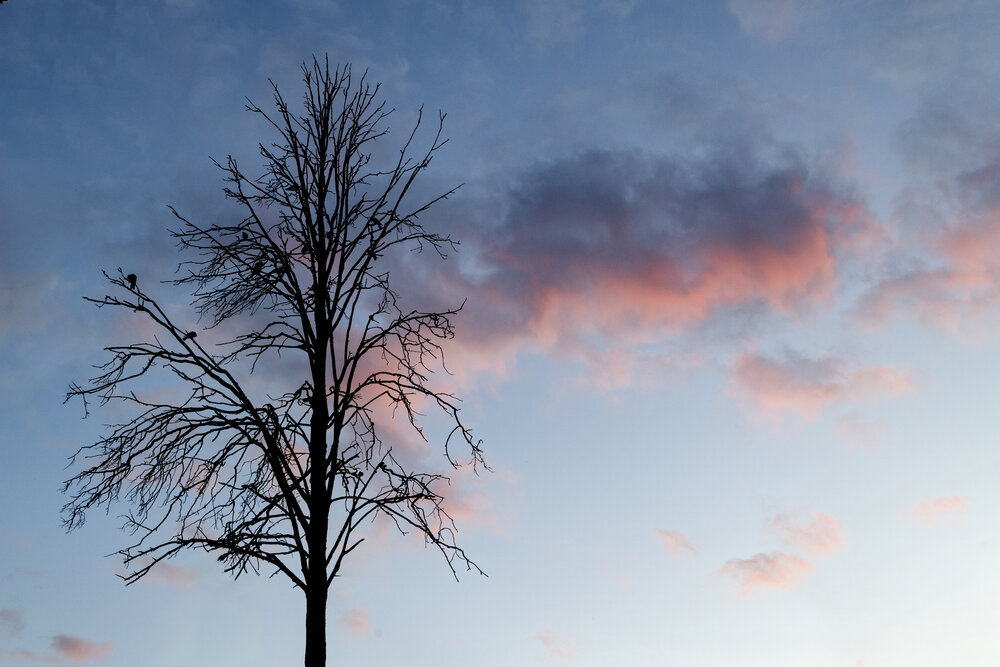 Photograph by Александр Новиков