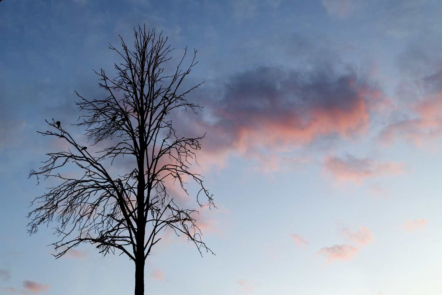 Photo #13925533