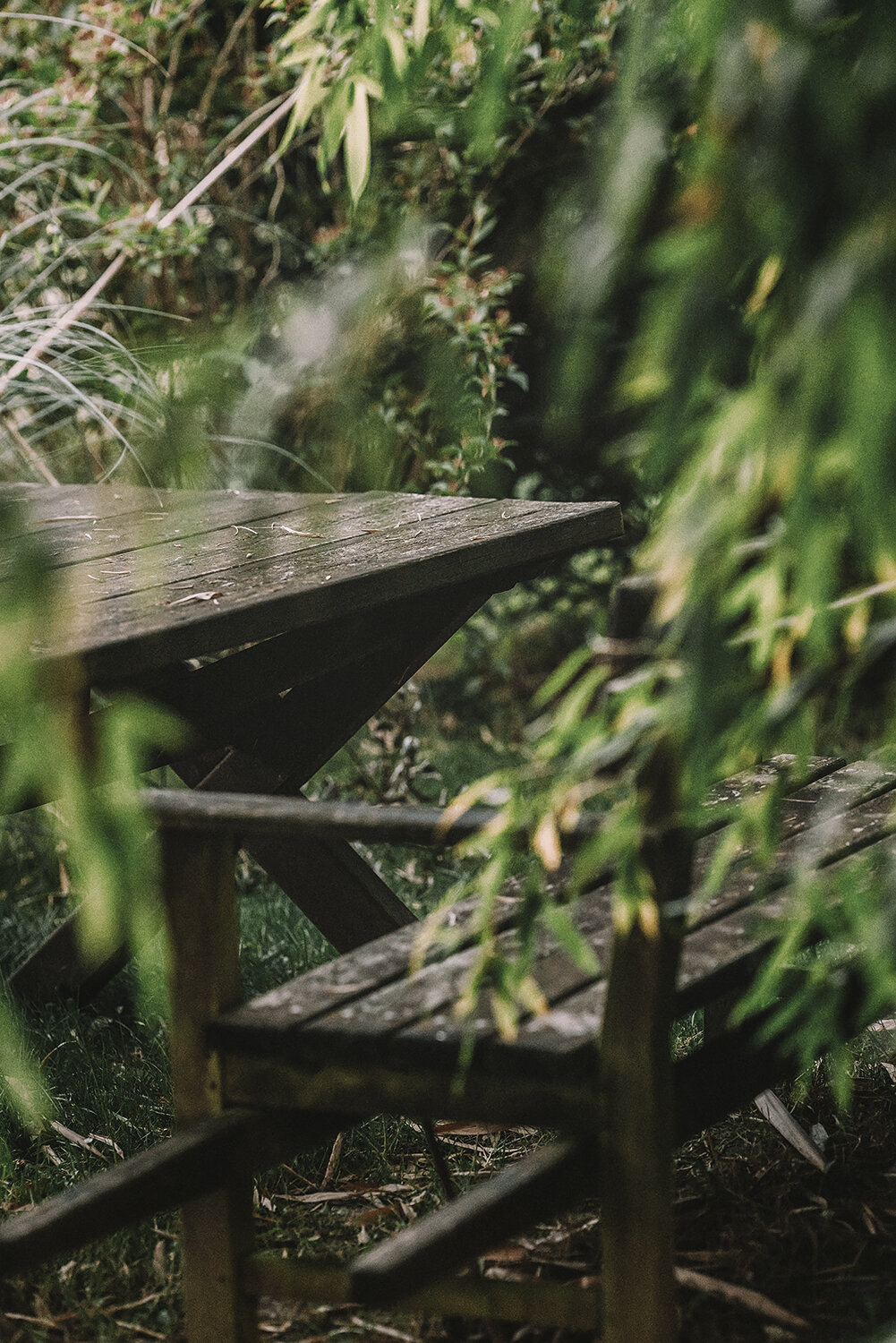 Photo #13925682