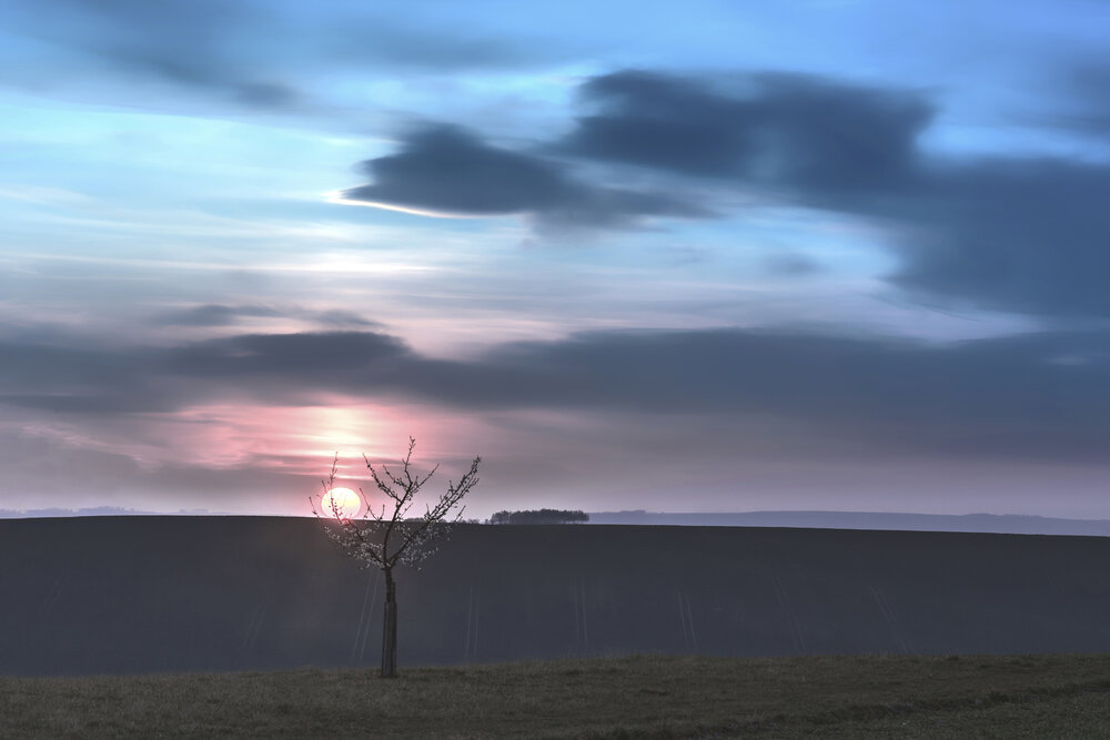 Photograph by Алекс Грант