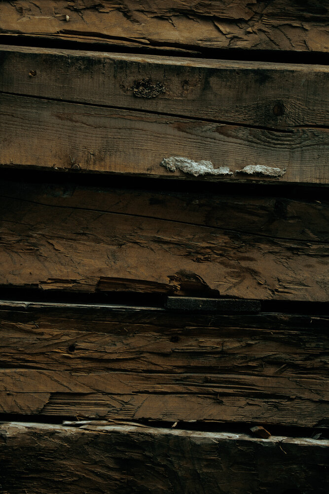 Photograph by Коротков Евгений