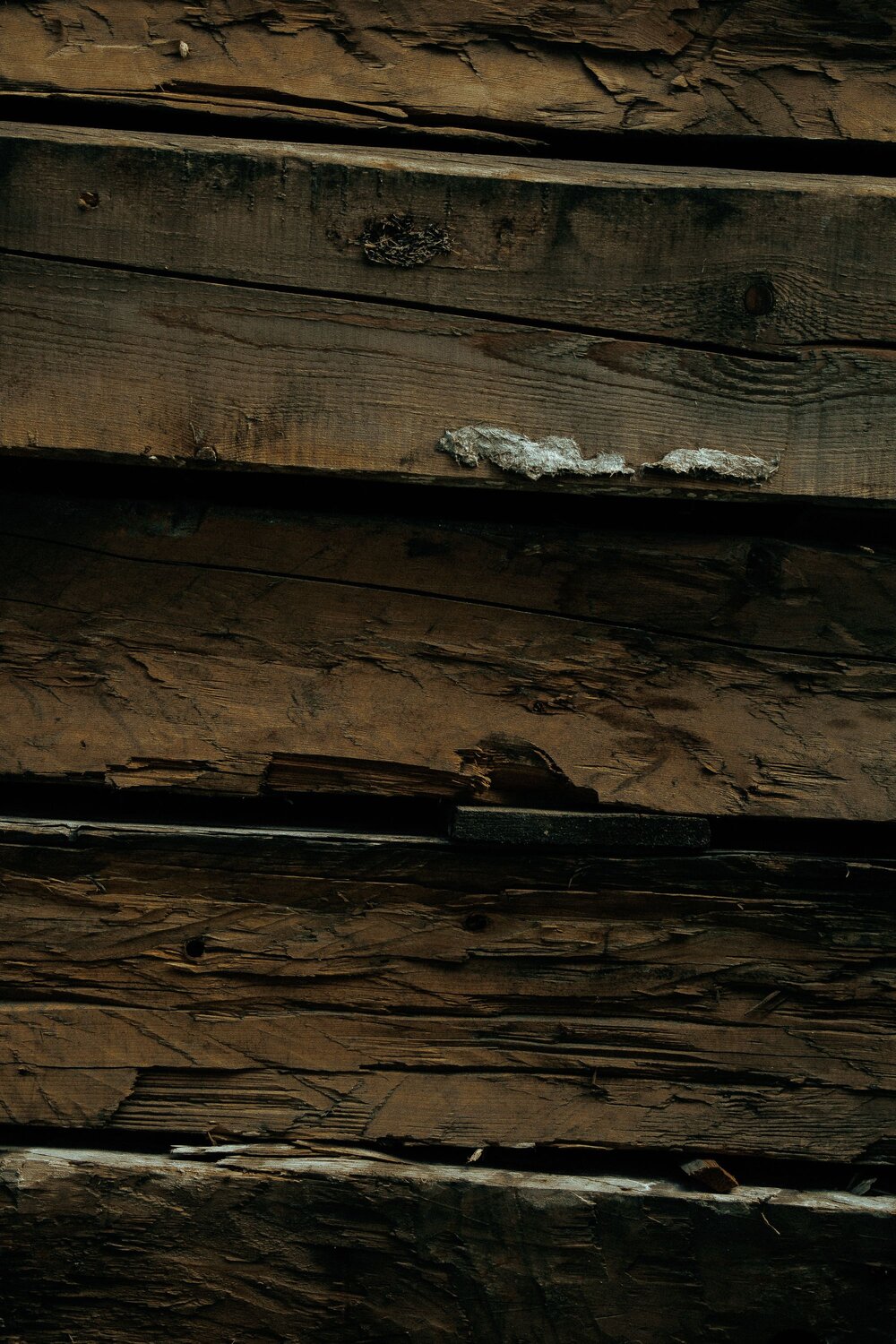 Photo #13925859