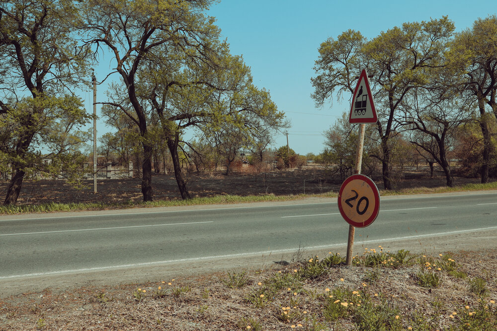 Photograph by Коротков Евгений