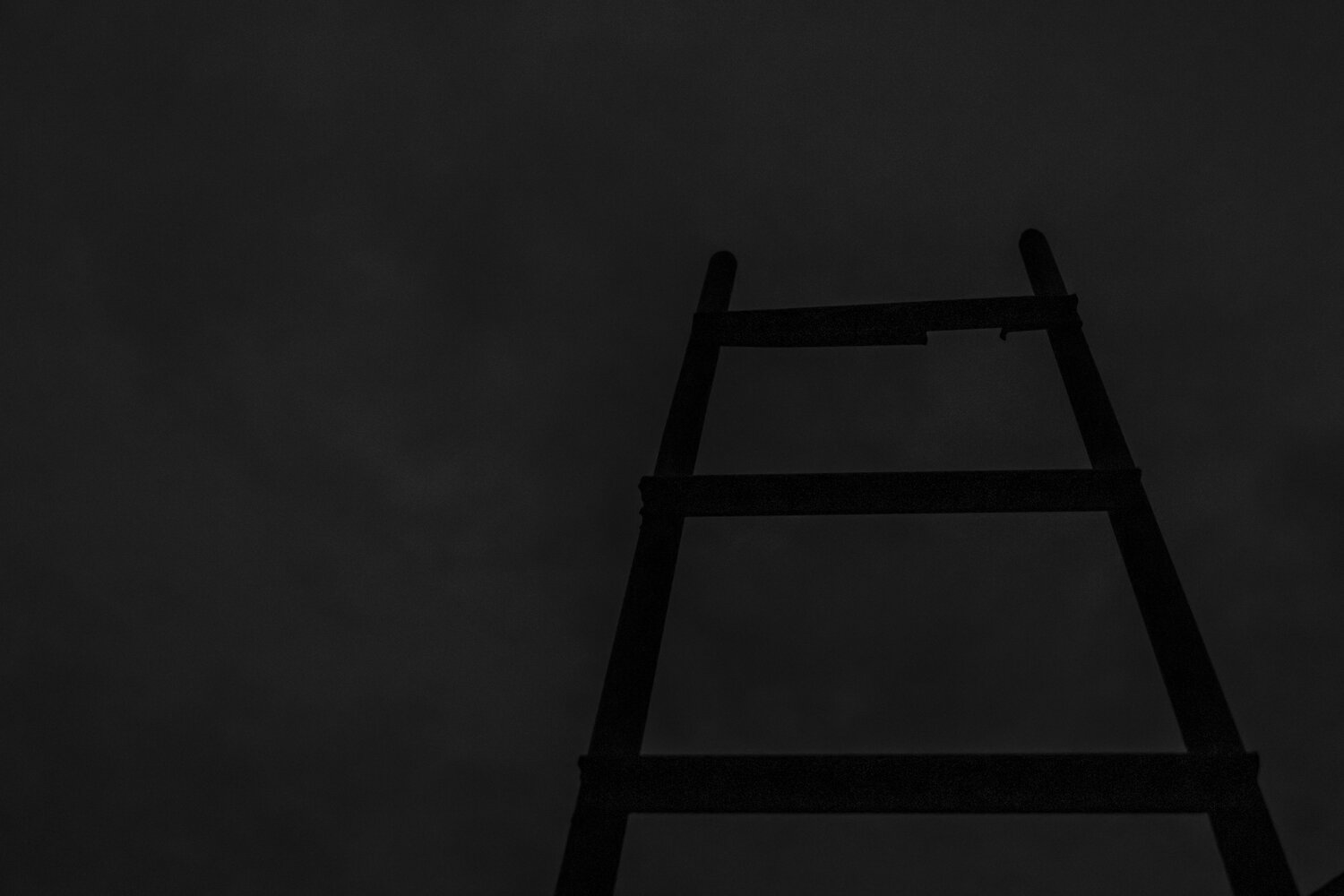 Photo #13925891