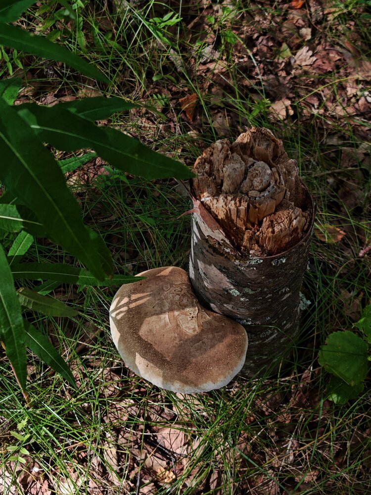 Photograph by Наталья Половая
