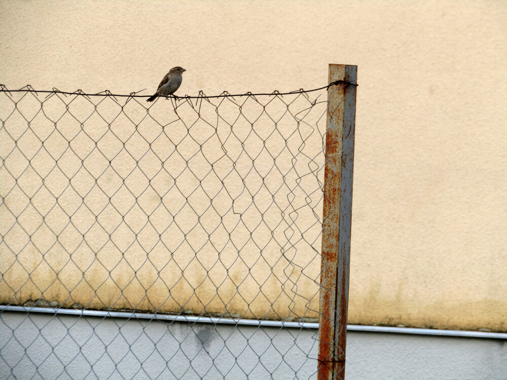 Photograph by ЕЛЕНА Тутынина