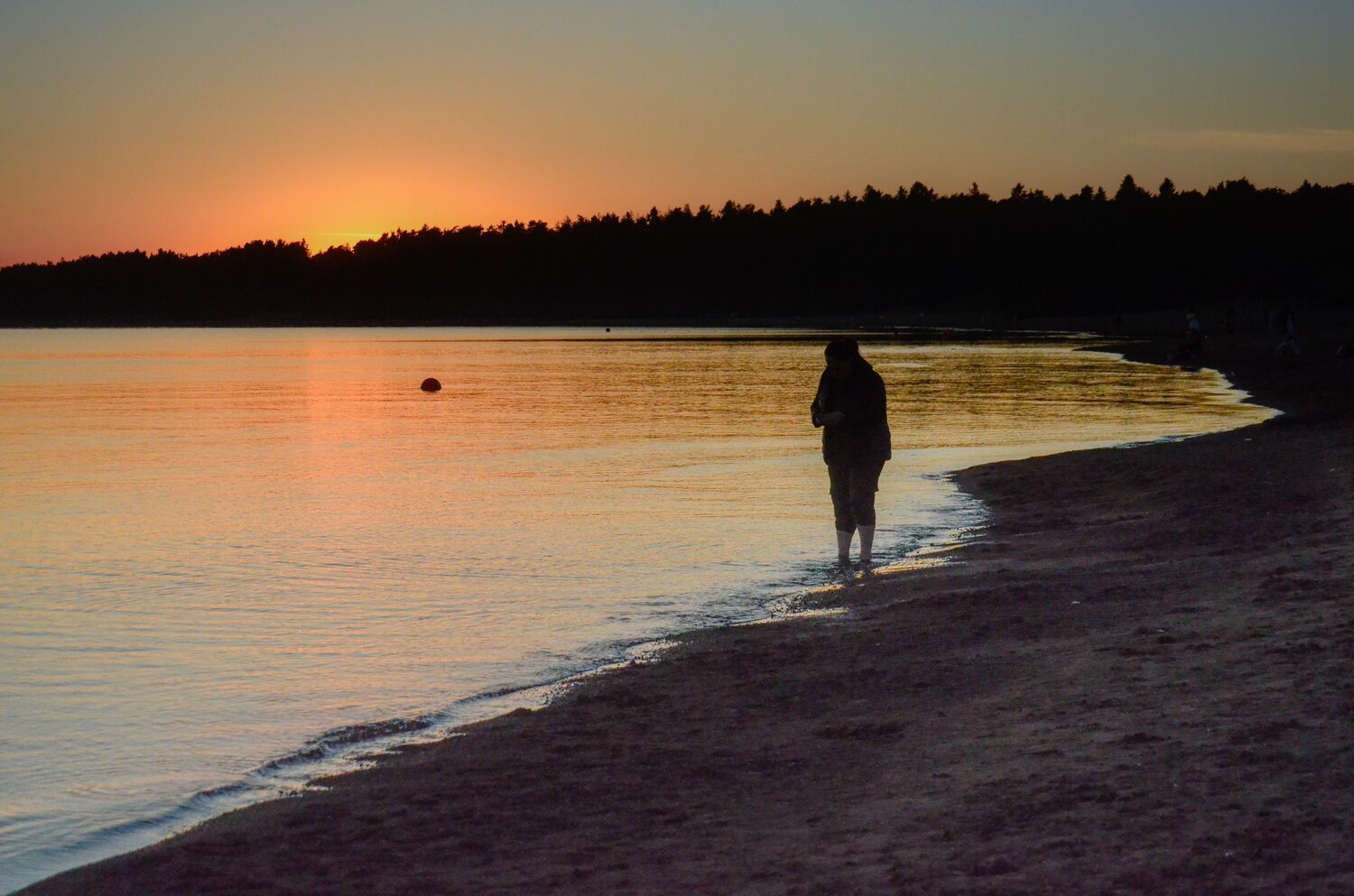 Photo #13926382