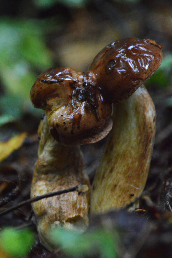 Photograph by Сергей Суворов
