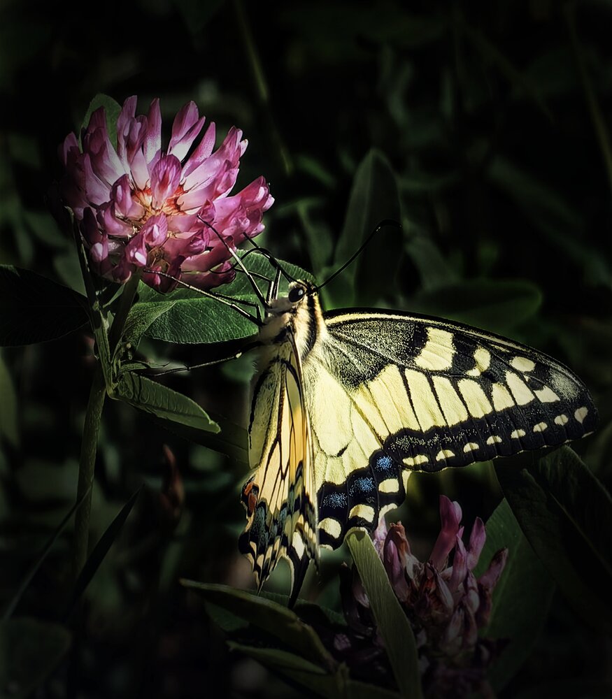 Photograph by Ярославна