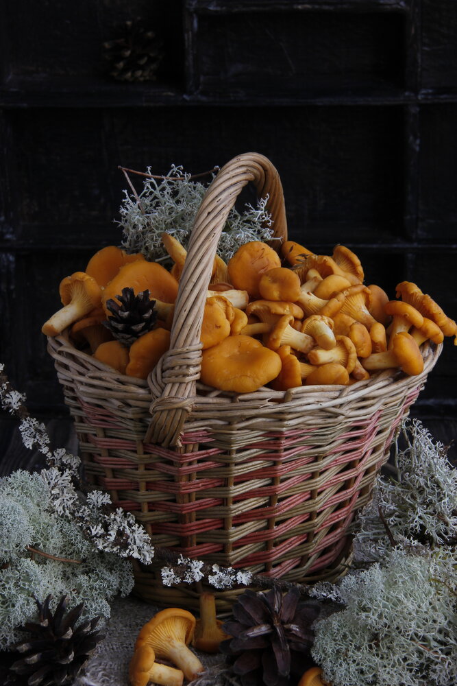 Photograph by Татьяна Орехова