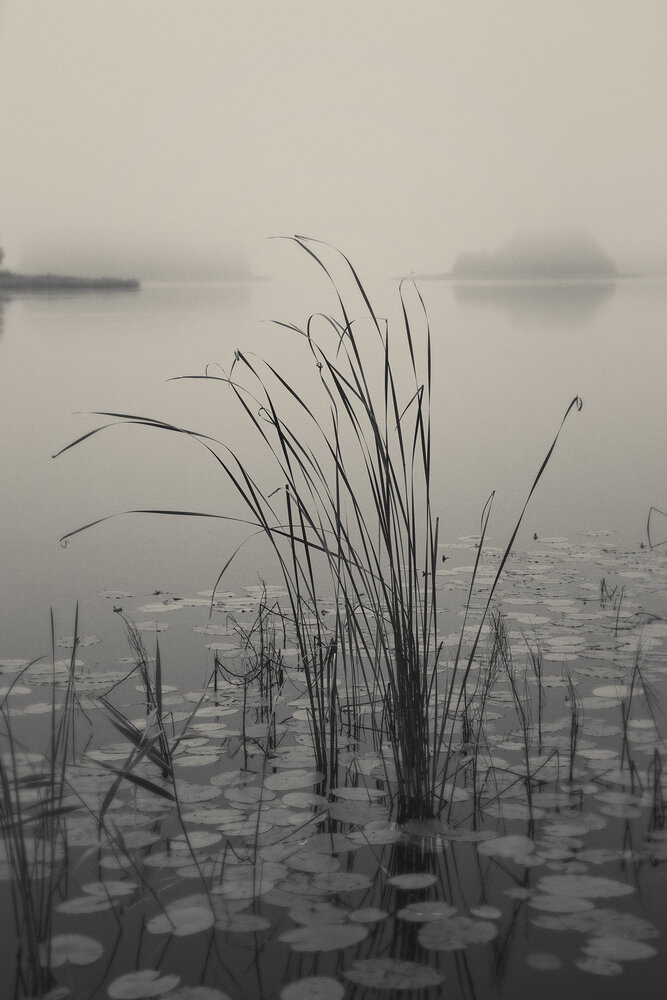 Photograph by Алексей Назаров