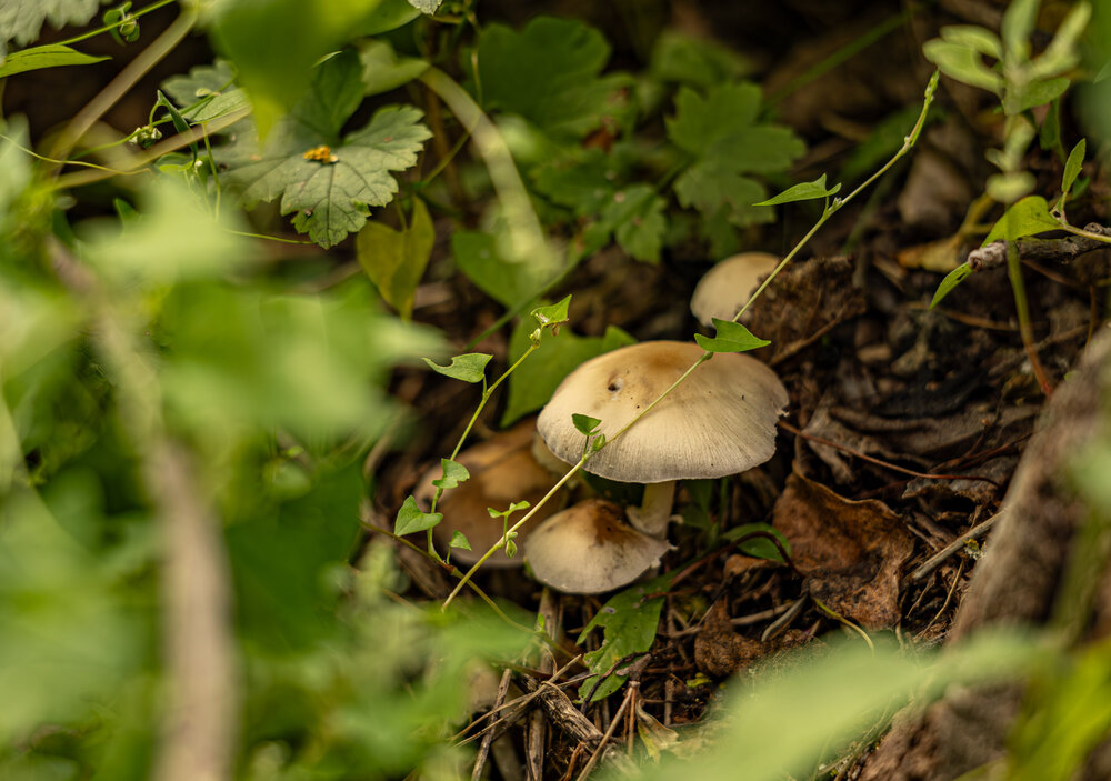 Photograph by Анна Реснина