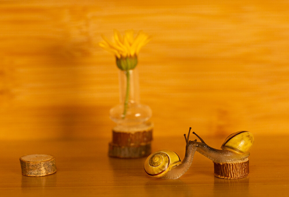 Photograph by Анна Селезнева