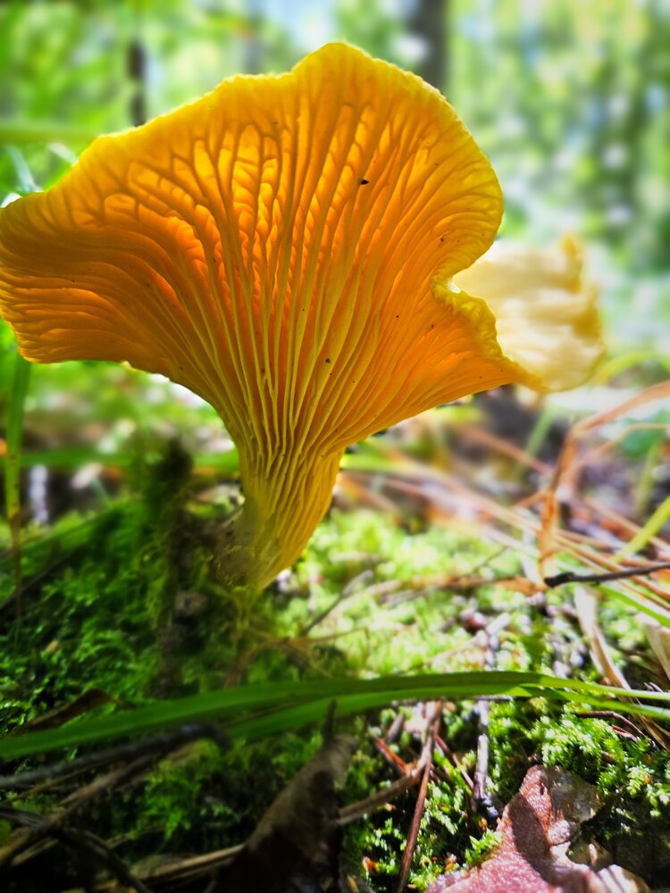 Photograph by Сергей Лабзин