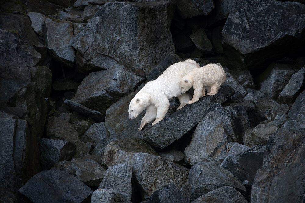 Photograph by Вячеслав Косенков