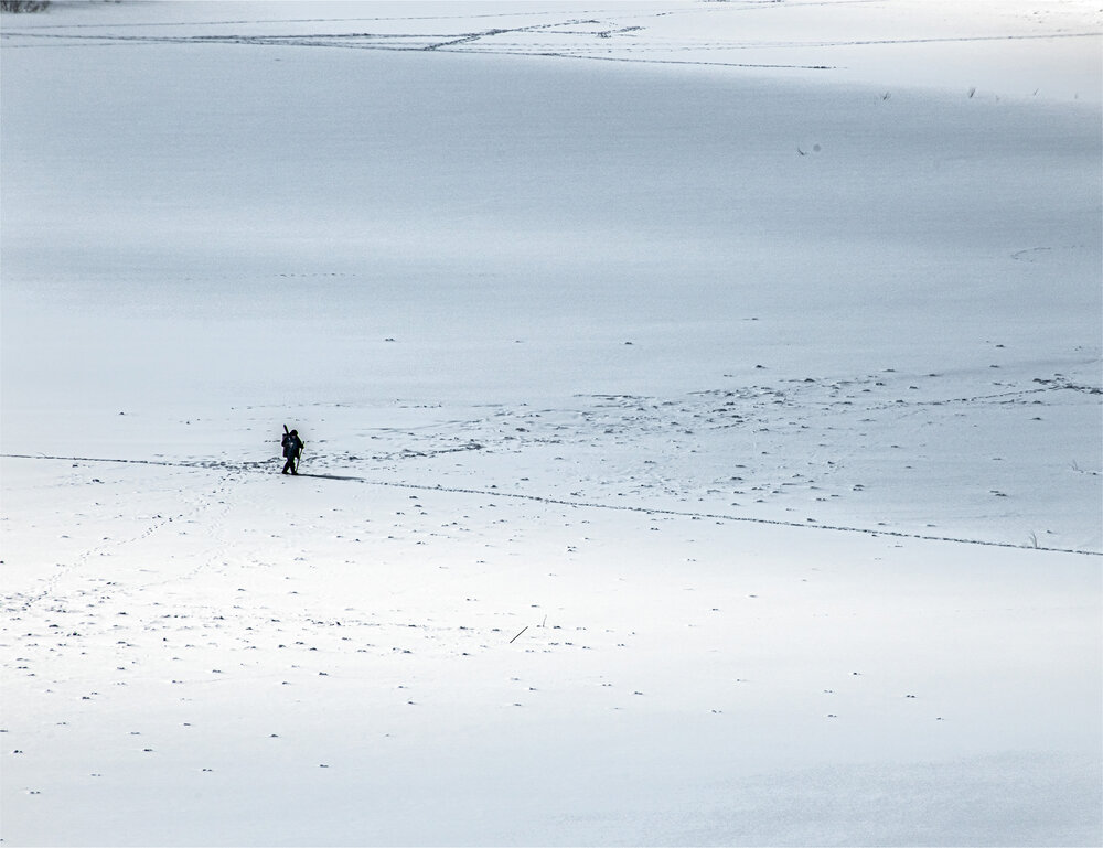 Photograph by Николай Абакумов