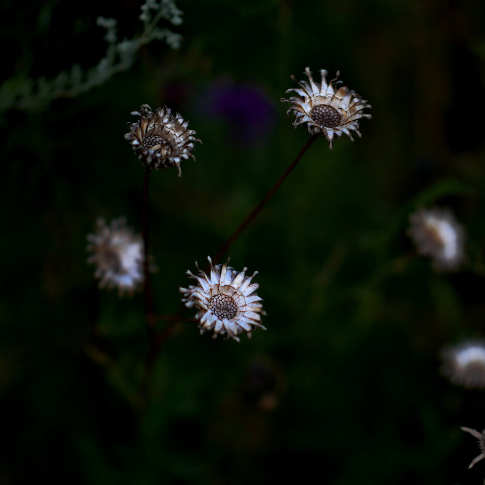 Photograph by Бьёрк