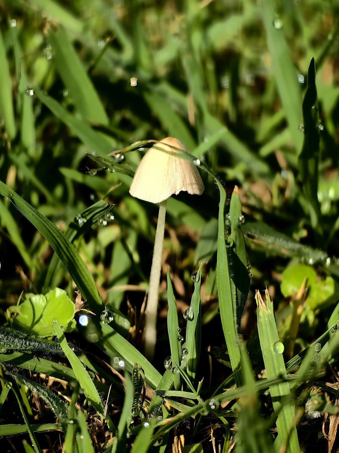 Photo #13926918