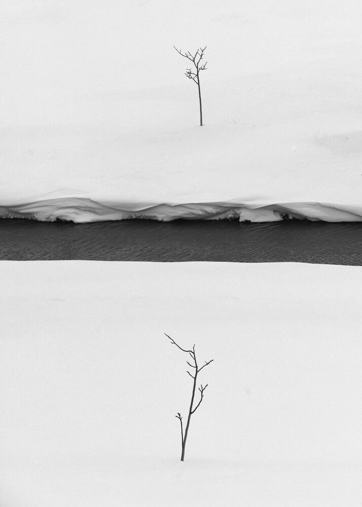 Photograph by Keyhan Mohammadi