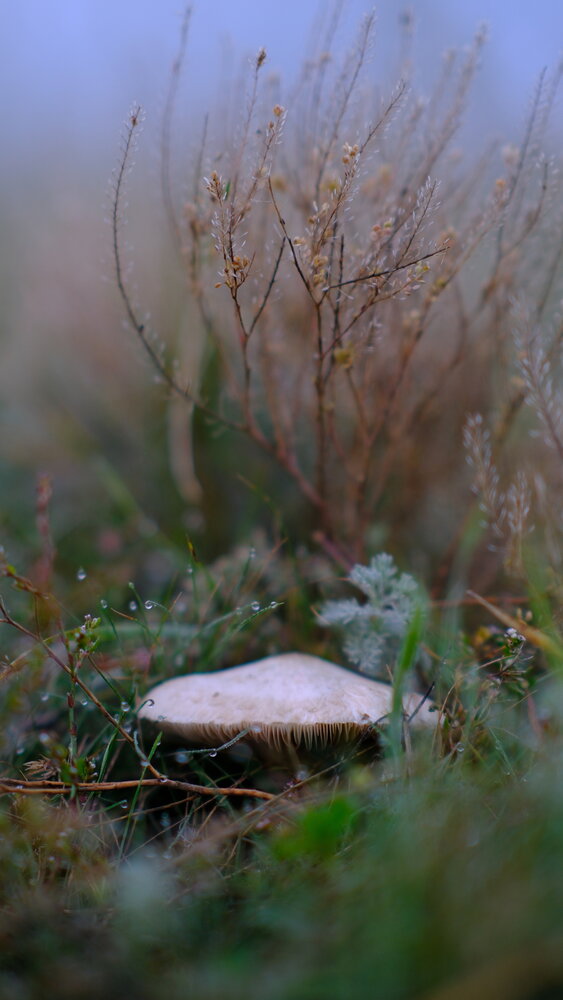 Photograph by Sergey Boiko