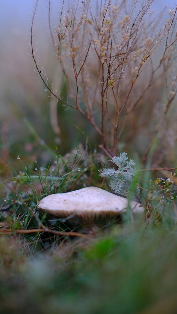 Photograph by Sergey Boiko