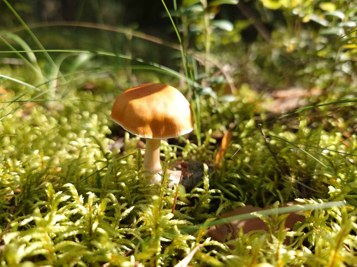 Photo #13927026